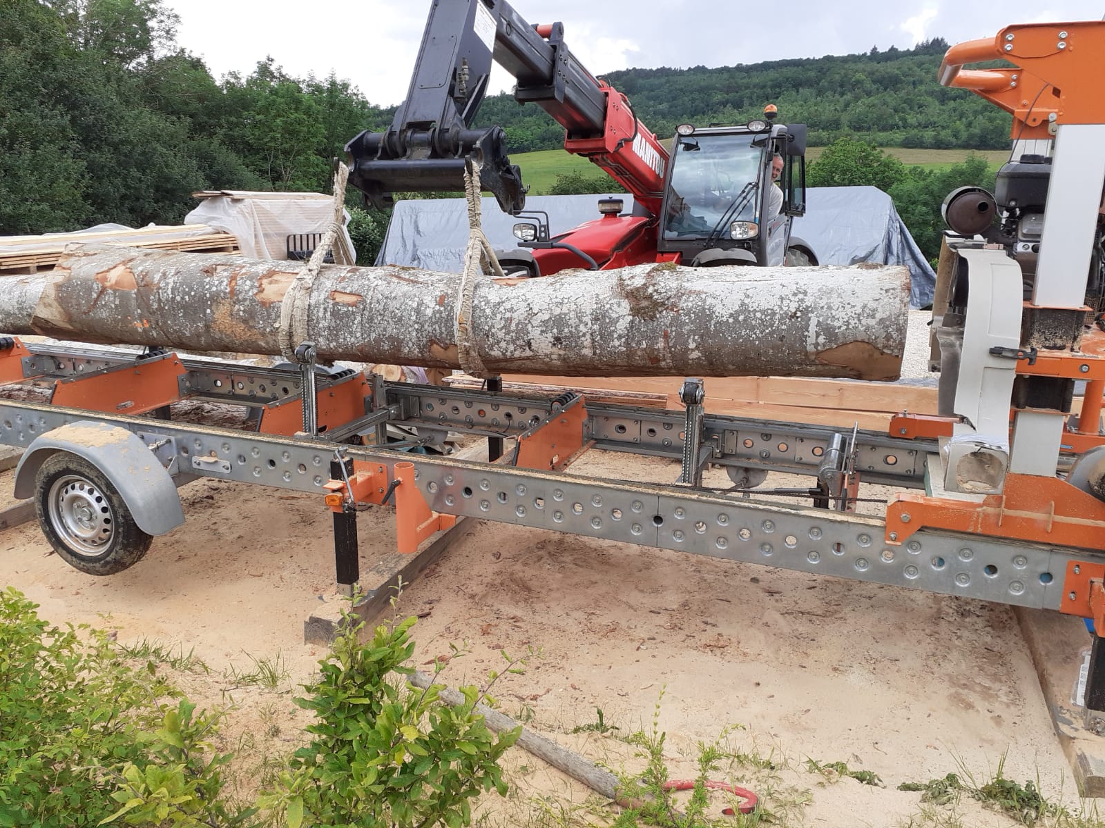 Chargement d' une grume de hêtre sur la scierie